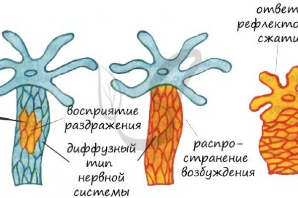 Кракен не работает