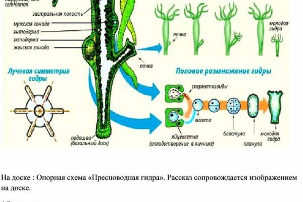 Как восстановить аккаунт на кракене