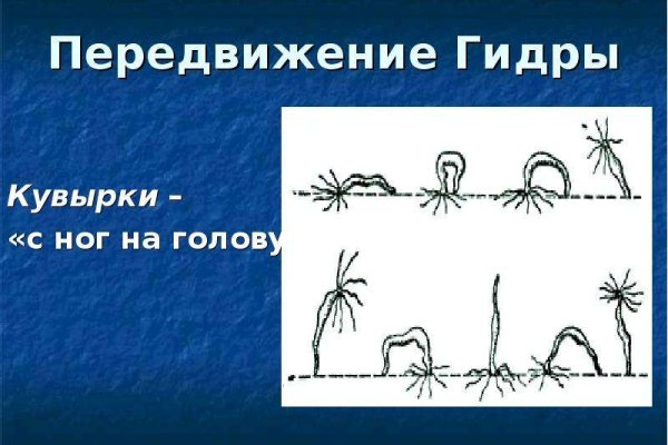 Kraken ссылка