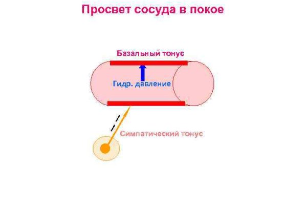 Актуальная ссылка на кракен